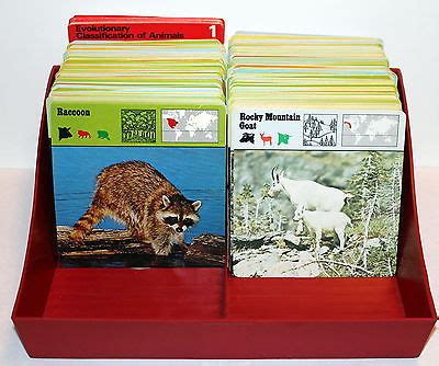 safari smart card|safari cards from 1970s.